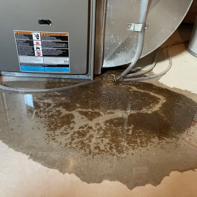 Appliance Leak Cleanup in Ola, AR