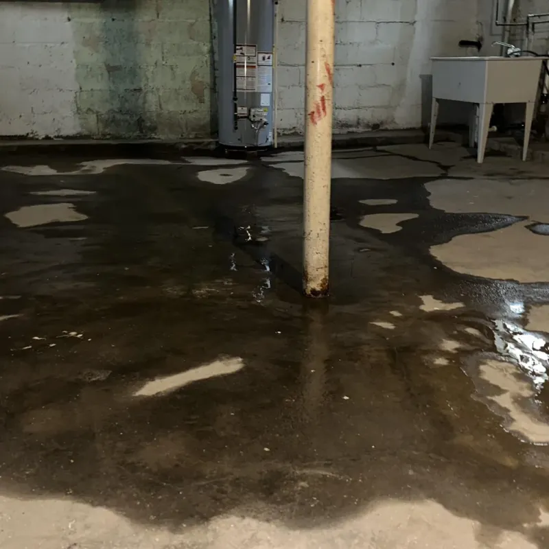 Emergency Water Extraction And Removal in Ola, AR